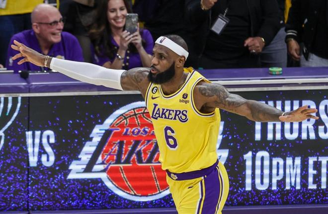 化的专业 化的专业